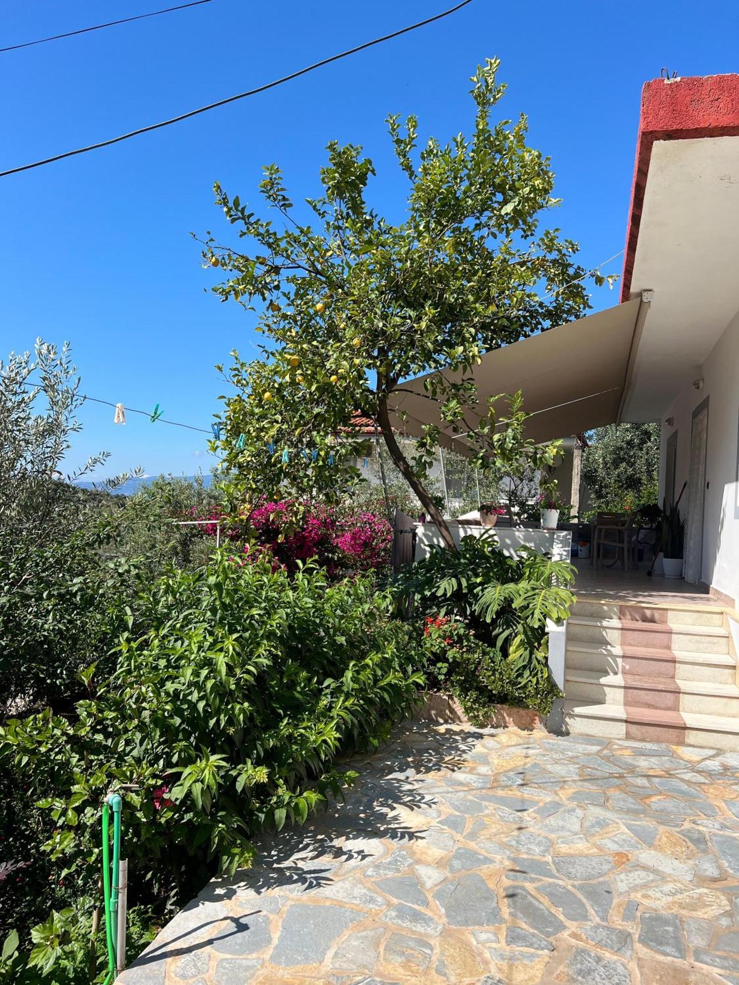 Ohanaa Apartament Sarandë Eksteriør billede