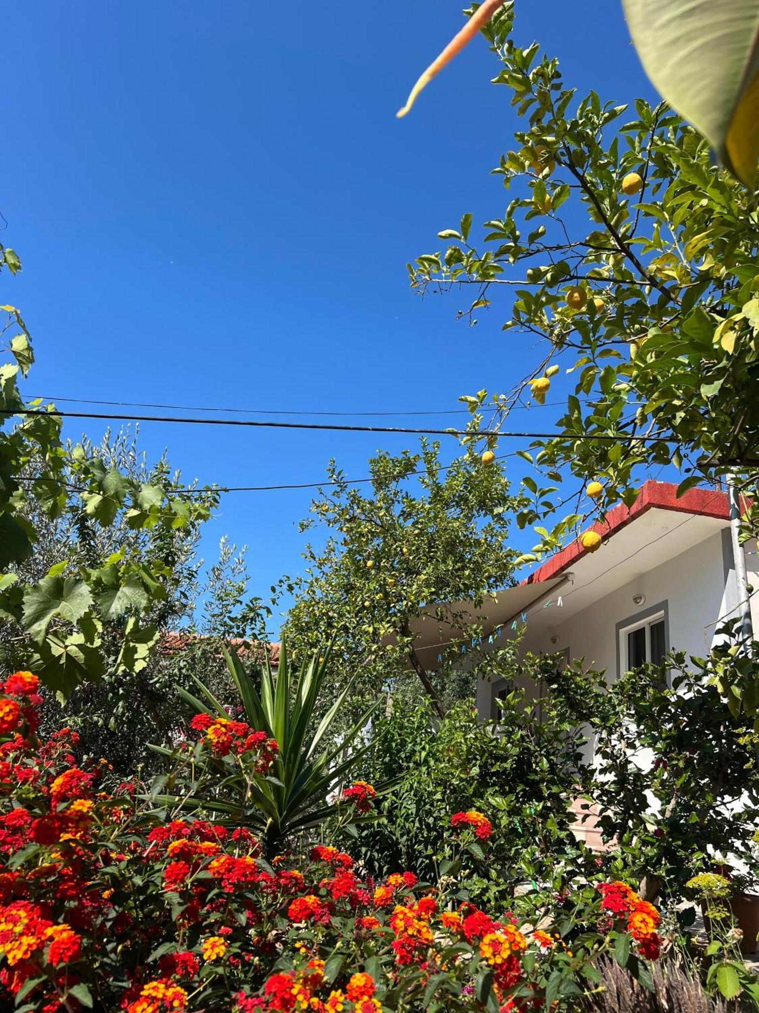 Ohanaa Apartament Sarandë Eksteriør billede